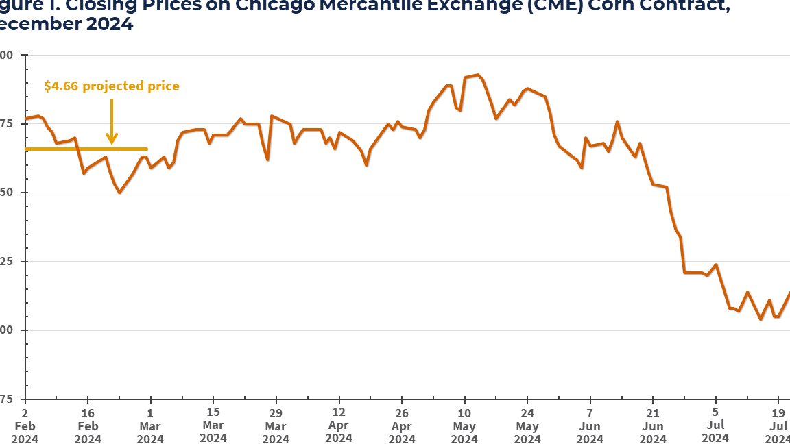 When Will Housing Prices Drop? Analysis and Outlook