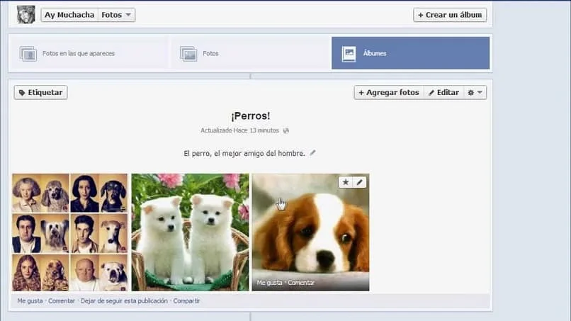 How to change and arrange the order of my photos in an album on Facebook 6 organize photos facebook